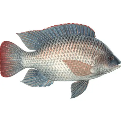 Screenshot 2024-10-05 at 15.16.15